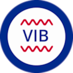 Simge titreşim dalgaları